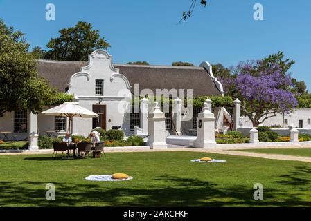 Faure, Stellenbosch, Westkappo, Südafrika. Das Gehöft des Weinguts Vergenoegd. Kapholländisches Gebäude mit einem Jacaranda-Baum. Stockfoto