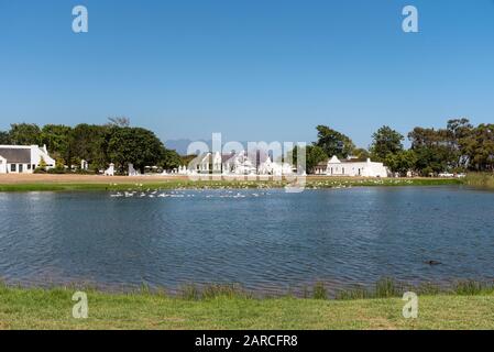 Faure, Stellenbosch, Westkappo, Südafrika. Das Gehöft des Weinguts Vergenoegd. Kapholländisches Gebäude mit einem Jacaranda-Baum Stockfoto