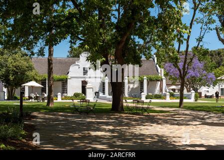 Faure, Stellenbosch, Westkappo, Südafrika. Dezember 2019. Das Gehöft des Weinguts Vergenoegd. Kapholländisches Gebäude mit Jacaranda Stockfoto