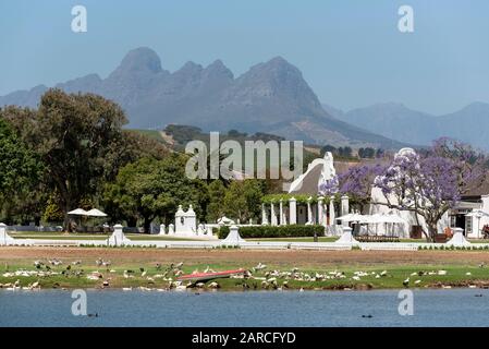 Faure, Stellenbosch, Westkappo, Südafrika. Das Gehöft des Weinguts Vergenoegd. Kapholländisches Gebäude mit einem Jacaranda-Baum Stockfoto