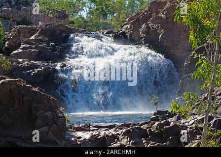 Australien, NT, Edith Falls alias Lelyin Falls im Nitmiluk-Nationalpark Stockfoto