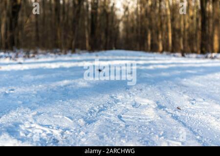 Fußabdrücke auf weißen Schnee Winter Natur drucken Nahgrund. Umgebung am frischen, sonnigen Tag im Wald mit unscharfem Hintergrund Stockfoto