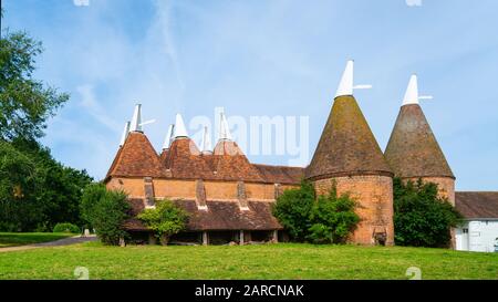 Oast Houses in Gruppe bauten orangefarbene Ziegelsteine und Kacheln mit weißen Windeln oben in Südengland. Stockfoto