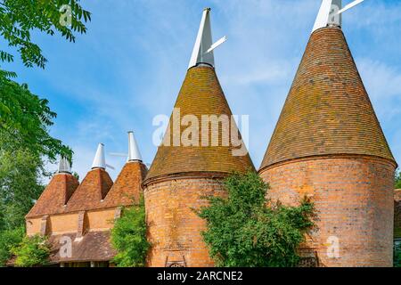 Oast Houses in Gruppe bauten orangefarbene Ziegelsteine und Kacheln mit weißen Windeln oben in Südengland. Stockfoto