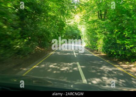 Verschwommener Baum führte die Straße durch die Windschutzscheibe, während er auf der schmalen kurvenreichen Straße in Südengland fuhr. Stockfoto