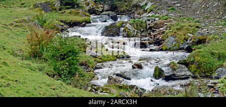 Wilder Fluss durch den Wald in Tirol Österreich Europa läuft. Stockfoto