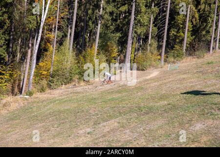 Bergsteiger auf einem Abstieg durch den Wald im Herbst Stockfoto