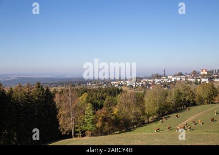 Blick auf die Stadt Schöneck im Vogtland. Im Vordergrund sieht man Kühe auf einer Weide. Stockfoto