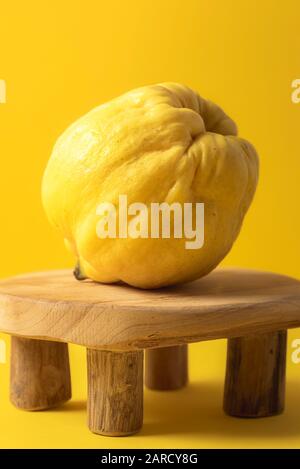 Frische Quinkobst auf einem winzigen Tisch im Sonnenlicht, auf einem gelben, nahtlosen Hintergrund. Einzelne Quinzfrucht isoliert auf Gelb. Minimalistische Herbstfrucht. Stockfoto