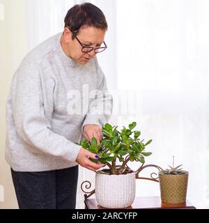 Aktive glückliche Seniorin kümmert sich zu Hause um Pflanzen im Heimatgarten. Hausanlagen in Blumentöpfen im Gartenzimmer, innen. Stockfoto
