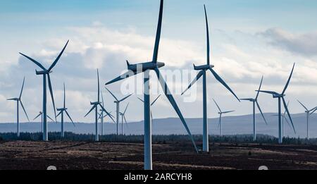 Viele Windenergieanlagen in der Scottish Power Renewables Whitelee Wind Farm in East Renfrewshire, Schottland, Großbritannien Stockfoto