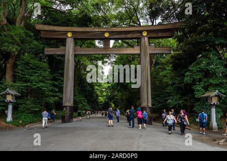 Große Torii am Eingang des Wegs, der zum Meiji-Jingu-Schrein führt. Tokio, Shibuya, Japan, August 2019 Stockfoto