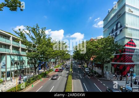 Blick auf die Straße Omotesando mit vielen Modegeschäften entlang der Straße. Tokio, Japan, August 2019 Stockfoto