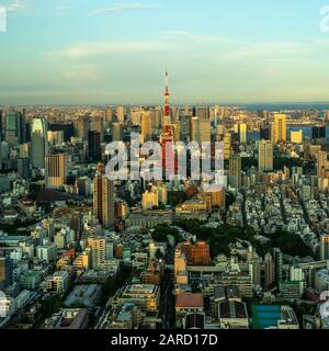 Tokyo Tower unter den Wolkenkratzern bei Sonnenuntergang. Der Tokyo Tower ist das bekannteste Wahrzeichen der Stadt Stockfoto