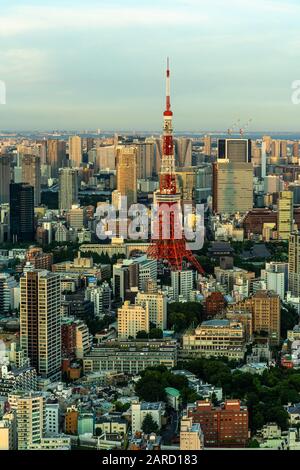 Tokyo Tower unter den Wolkenkratzern bei Sonnenuntergang. Der Tokyo Tower ist das bekannteste Wahrzeichen der Stadt Stockfoto