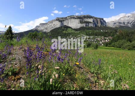 Schöne Blumen und das Dorf Flims mit Bergen, Schweiz Stockfoto