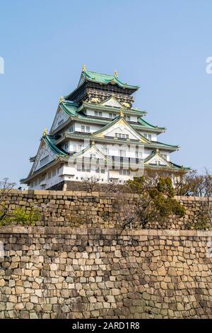 Der Bergfried im Borogata-Stil der Burg Osaka und die massiven Ishigaki-Steinmauern des Honmaru aus dem Nishinomaru-Garten gegen einen klaren blauen Himmel. Stockfoto