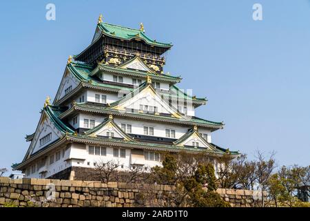 Der Berghof im Borogata-Stil der Burg Osaka und die Steinmauern der Ishigaki des Honmaru, die vom Nishinomaru-Garten aus gegen einen klaren blauen Himmel gesehen werden. Stockfoto