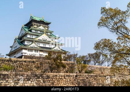 Der Berghof im Borogata-Stil der Burg Osaka und die Steinmauern der Ishigaki des Honmaru, die vom Nishinomaru-Garten aus gegen einen klaren blauen Himmel gesehen werden. Stockfoto