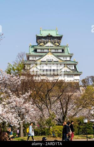 Der Berghof im Borogata-Stil der Burg Osaka überragt Kirschblüten und Menschen im Nishinomaru-Garten im Vordergrund. Blauer Himmel Hintergrund. Stockfoto