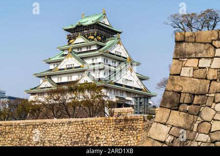 Der Berghof im Borogata-Stil der Burg Osaka und die Steinmauern der Ishigaki des Honmaru, die vom Nishinomaru-Garten aus gegen einen klaren blauen Himmel gesehen werden. Stockfoto