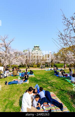 Japan, Kirschblüten im Nishinomaru Garden, Schloss Osaka. Überfüllte Szene von Gruppen von Menschen, die unter Kirschblüten Partys haben Stockfoto