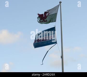 Aberystwyth Ceredigion Wales UK 17. Januar 2019: Tatty and Torn Welsh Dragon Flag und Welsh Aberystwyth Plastic Free (Di Blastig) Stockfoto