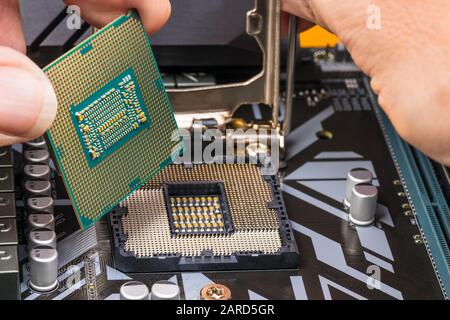 Details zur Wartung des Computerprozessors. Hände, die Mikroprozessorchip einbauen. Austausch der Zentraleinheit in der Mainboard-Buchse. Hardwareteil. Stockfoto