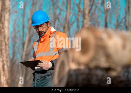 Forsttechniker, der einen digitalen Tablet-Computer in der Waldstruktur verwendet, um während der Entwaldung Daten zu erfassen Stockfoto