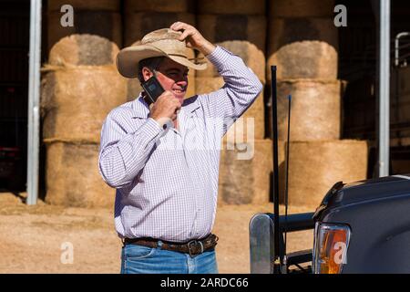 Bauer auf Handy berührt Hut in der Nähe von LKW mit zwei Antennen Stockfoto