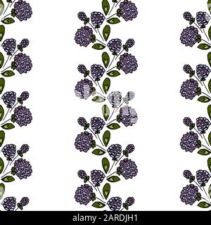 Nahtloses Blumenmuster. Lilafarbiger Infloreszenz. Klee. Streifen mit Blumen auf weißem Grund Stock Vektor