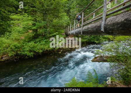 Wanderer auf der Brücke über den Fluss auf dem McKenzie River National Recreation Trail, Willamette National Forest, Oregon. Stockfoto