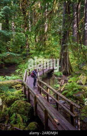 Junge Frau mit Kamera auf dem McKenzie River National Recreation Trail, Willamette National Forest, Oregon. Stockfoto