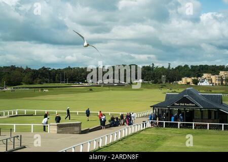 St. Andrews, Großbritannien - 20. Juni 2019: Golfer schlagen auf dem Alten Golfplatz im Royal and Ancient Golf Club von St. Andrews ab, dem Geburtshaus von Gol Stockfoto