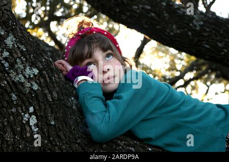 Porträt eines Kindes, das auf einem Zweig eines alten Baumes tagträumt Stockfoto