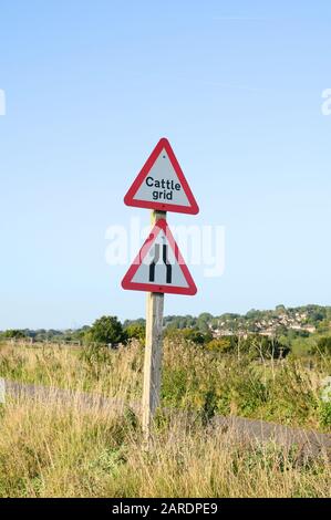 Rinderraster und schmale Straßenvor-Warnschilder, England, Großbritannien Stockfoto