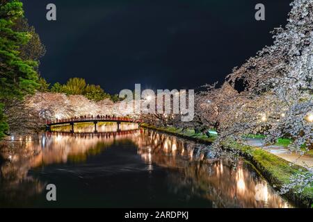 Hirosaki Park Kirschblütenfest matsuri leuchtet nachts auf. Schönheit volle Blüte rosafarbene Blumen im Westgraben Shunyo-bashi Brücke und Lichter leuchten Stockfoto