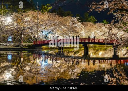 Hirosaki Park Kirschblütenfest matsuri leuchtet nachts auf. Schönheit volle Blüte rosafarbene Blumen im Westgraben Shunyo-bashi Brücke und Lichter leuchten Stockfoto