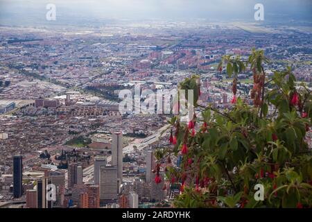 Bogota, Kolumbien Stockfoto