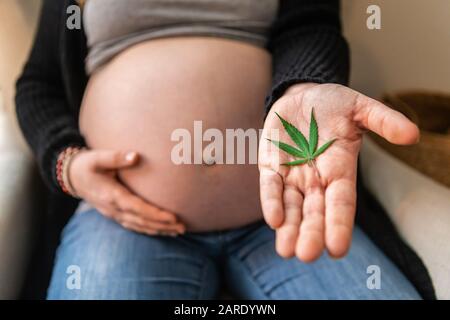 Ein selektiver Fokusschuss als schwangere kaukasische Frau hält ein Marihuanablatt in der Handfläche. Cannabis, Unkraut, Hanf, für medizinische Zwecke verwendet. Stockfoto