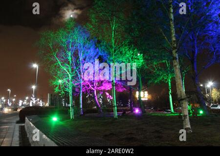 Nachts Bäume in der Stadt. Stockfoto