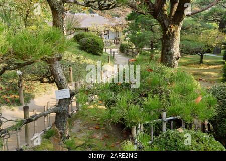 Shukkei-en Garden (Garten mit gesunkener Landschaft), Hiroshima, Japan, ein traditioneller japanischer Garten Stockfoto