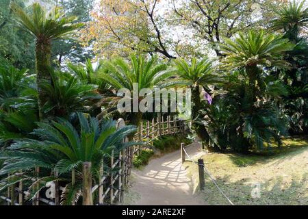 Shukkei-en Garden (Garten mit gesunkener Landschaft), Hiroshima, Japan, ein traditioneller japanischer Garten Stockfoto