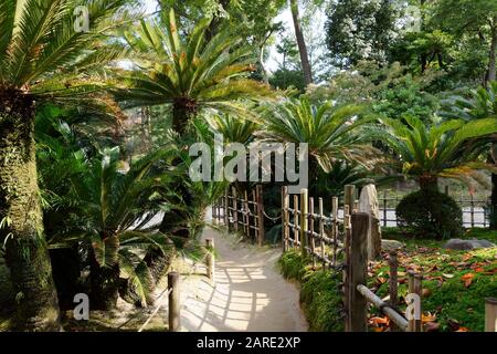 Shukkei-en Garden (Garten mit gesunkener Landschaft), Hiroshima, Japan, ein traditioneller japanischer Garten Stockfoto