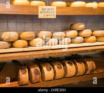 Pienza, Italien - Pecorino Schafskäse im Alter zwischen 10 und 20 Tagen zum Verkauf in einem Geschäft in der mittelalterlichen Vlilage von Pienza, Toskana Stockfoto