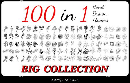 Große Sammlung von 100 handgezogenen Blumen. Große botanische Blumen, isoliert auf weißem Hintergrund. Handgezeichnete Vektorsammlung. Federblosso Stock Vektor