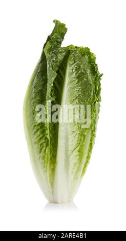 Romaine Salat Isoliert auf weißem Hintergrund Stockfoto