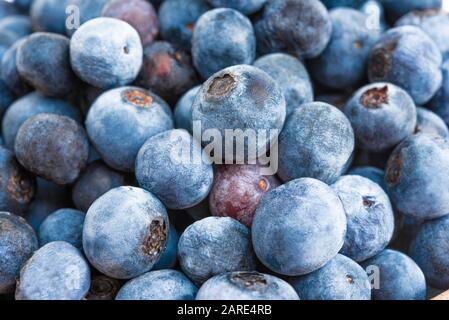 Eine extreme Nahaufnahme oder Makroaufnahme frischer Blaubeeren. Stockfoto