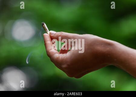 Selektiver Nahost-Nahaufnahme der hand der kaukasischen Frau, die marihuana-jay hält. Cannabiszigarette, die außerhalb des Fokus geraucht wird, grüner Hintergrund. Stockfoto