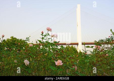 Shanghai, CHINA -30 Okt 2019- EIN Landschaftstag Blick auf die Nanpu Brücke über den Huangpu Fluss in Shanghai, China. Shanghai ist die größte chinesische Stadt Stockfoto